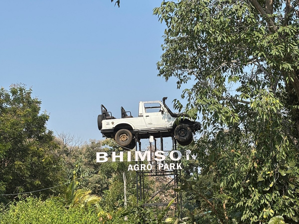 Jungle Safari